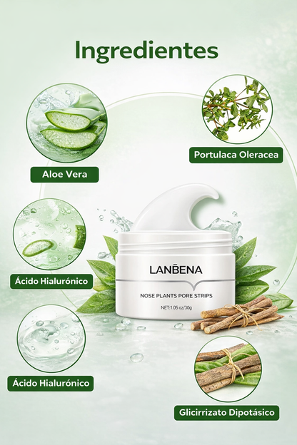 SkinReset Pro™ – Mascarilla  para puntos negros
