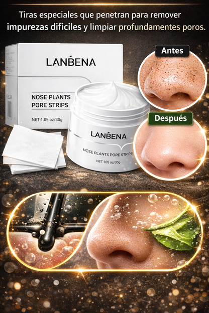 SkinReset Pro™ – Mascarilla  para puntos negros
